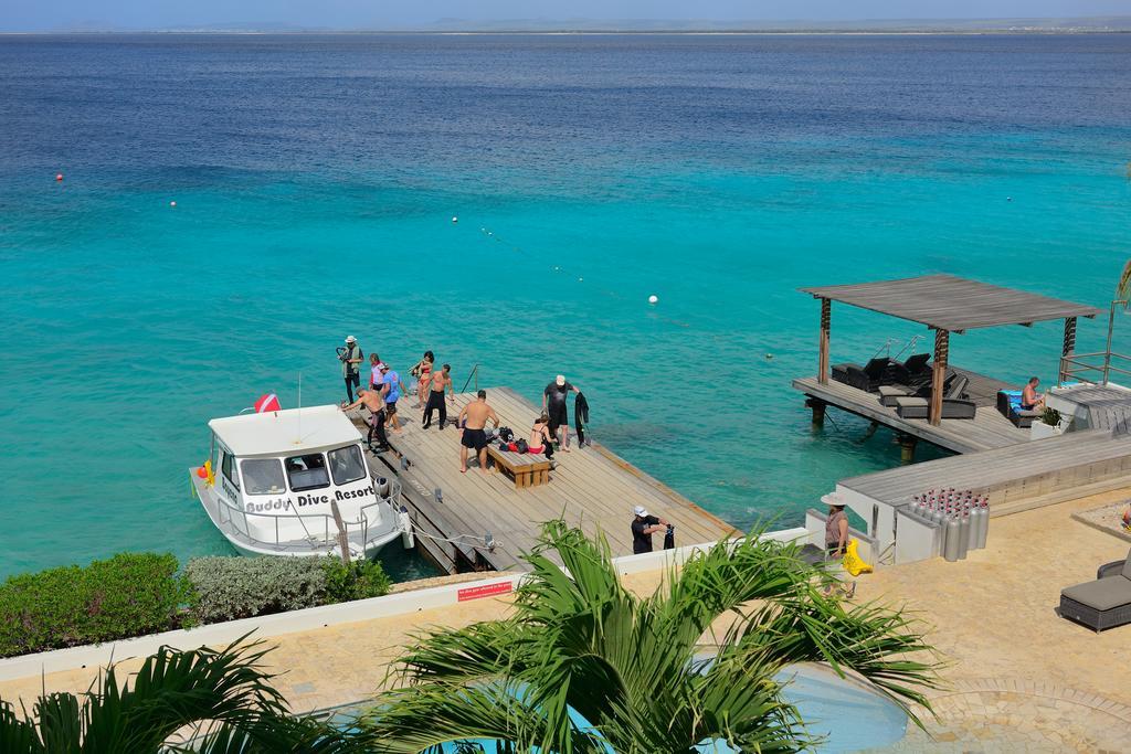Belmar Oceanfront Apartments Bonaire Dış mekan fotoğraf