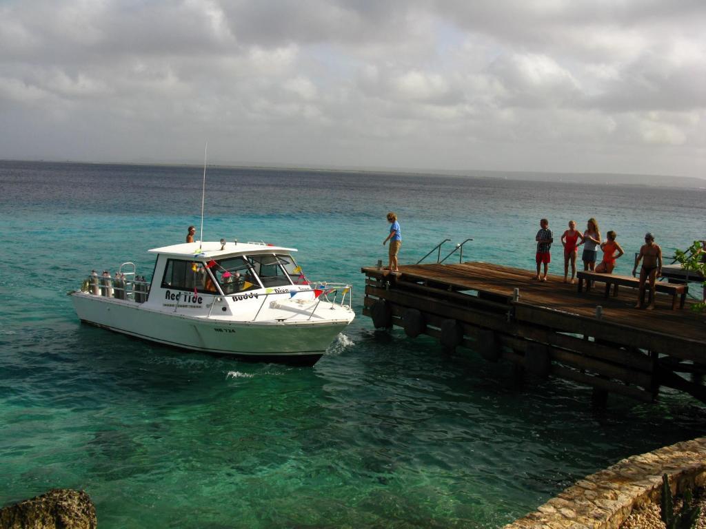 Belmar Oceanfront Apartments Bonaire Dış mekan fotoğraf