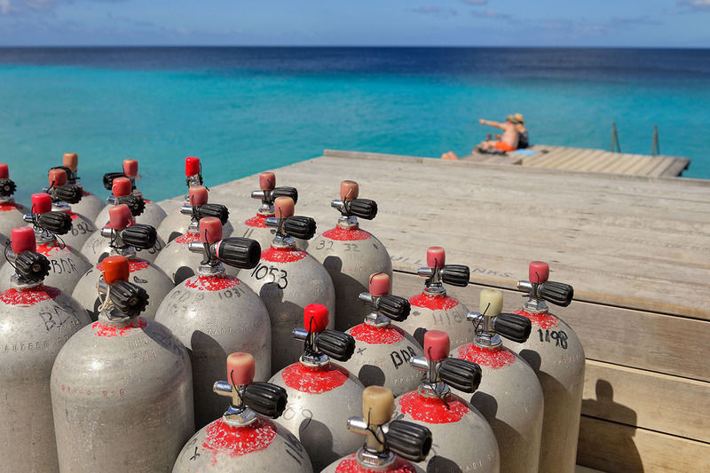 Belmar Oceanfront Apartments Bonaire Dış mekan fotoğraf
